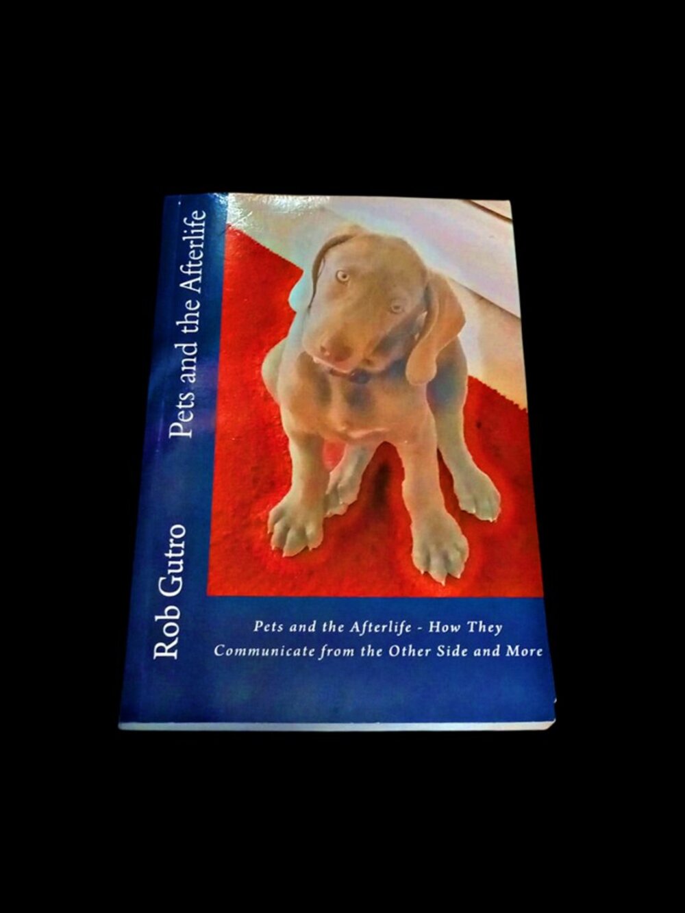 Pets & The Afterlife by Rob Gutro